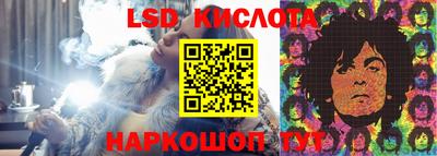 шишки Кимры