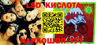 шишки Кимры