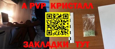шишки Кимры
