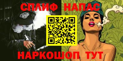 шишки Кимры