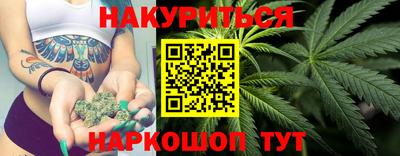 шишки Кимры