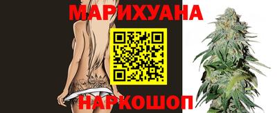 шишки Кимры
