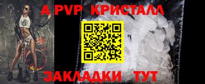 шишки Кимры