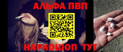 шишки Кимры