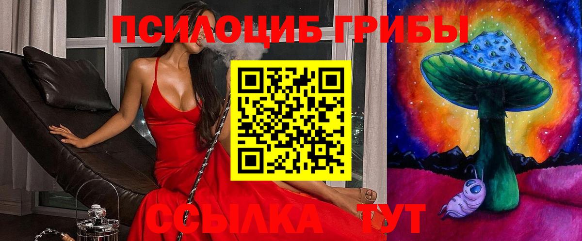 Псилоцибиновые грибы Cubensis Химки